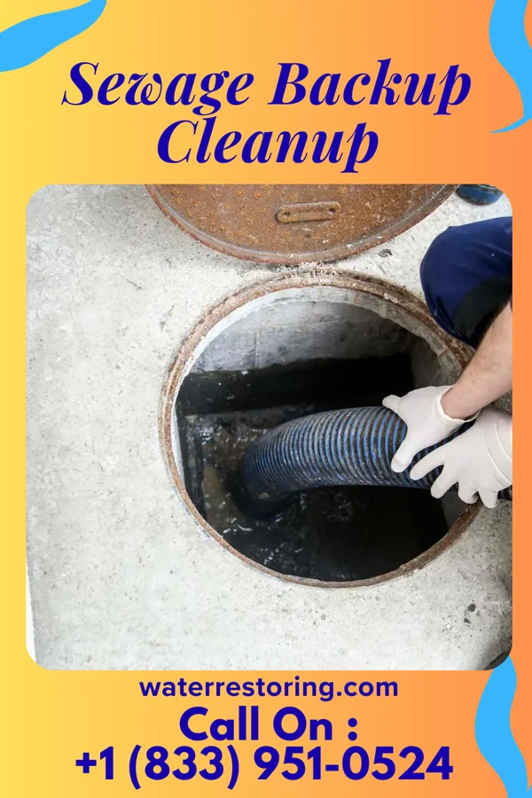 Sewage Backup Cleanup in Scooba, MS