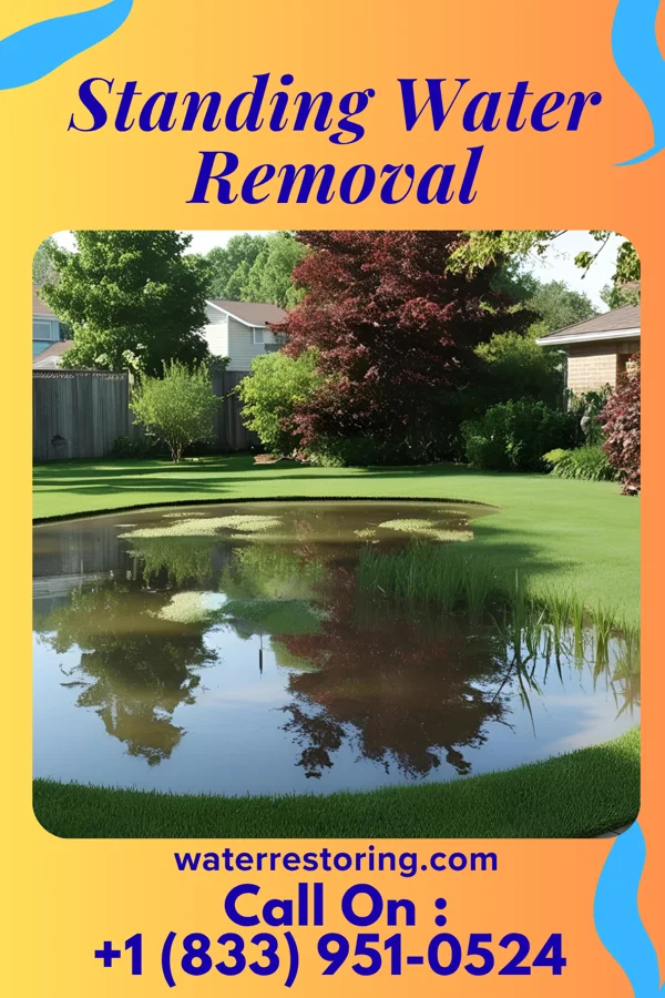 Standing Water Removal in Scooba, MS